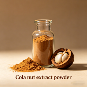 Extracto <span class=keywords><strong>de</strong></span> <span class=keywords><strong>Nuez</strong></span> <span class=keywords><strong>de</strong></span> <span class=keywords><strong>Cola</strong></span> 10:1, Extracto Natural <span class=keywords><strong>de</strong></span> <span class=keywords><strong>Cola</strong></span> Acuminata en Polvo, 1KG MOQ, Descuento por Pedido al por Mayor - Product Image 3