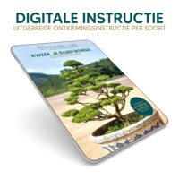 Kit pemula Bonsai yang dapat disesuaikan grosir dengan instruksi rinci untuk Set pohon Bonsai tanaman Taman dan Rumah