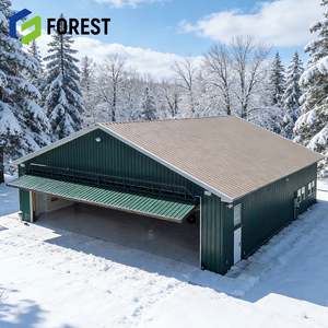 Solución Llave en Mano: Hangar Metálico Estándar de Acero para Aviones con Capacidad para Nieve, Calidad de Exportación - Product Image 1