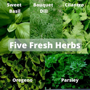 Regalo de Navidad producto de jardinería plantación de vegetales orgánicos <span class=keywords><strong>caja</strong></span> de madera <span class=keywords><strong>caja</strong></span> de cedro Kit de jardín de hierbas - Product Image 4