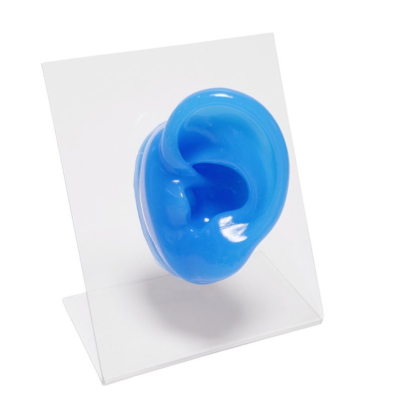 Soft Colourful Silicone Ear Model Soft