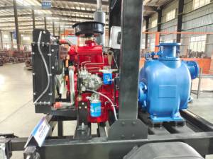 Pompes auto-amorçantes de référence pour l'industrie minière, durables et efficaces pour le transfert d'eaux usées et de boue - Product Image 3