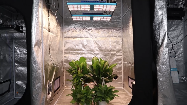 Top Selling 480w Samsung Lm301h Battery Operated Sunraise Grow Box 3x5  Growing Lights for Plants Indoor