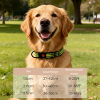 Collier Moderne Rayé en Nylon pour Chiens et Chats - Durable, Confortable, Réglable, Sécurisé, Léger, Respirant, avec Fil Réfléchissant