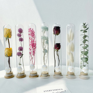 E77 Vente chaude Ensemble cadeau de fleurs séchées naturelles en tube de verre Pampas Fleurs séchées blanches et roses conservées avec du verre - Product Image 2