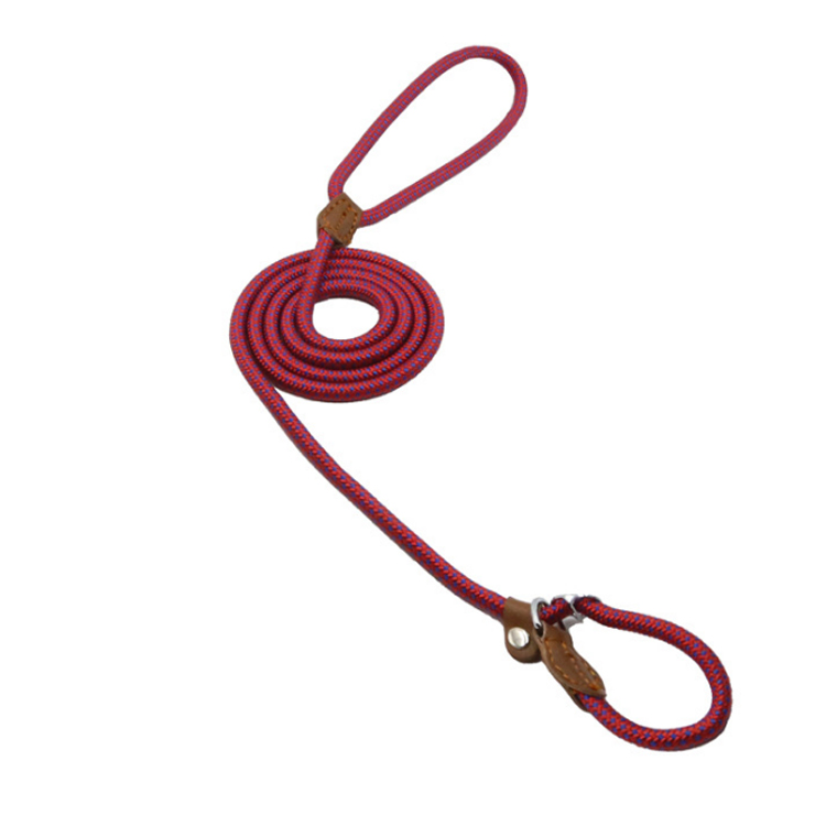 Color8