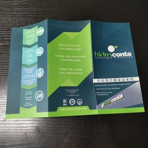 Gấp Tờ Rơi In Offset Kích Thước Tùy Chỉnh A4 Khách Sạn Tờ Rơi In 4c + 4c CMYK Pantone Glossy Giấy Nghệ Thuật - Product Image 2