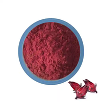 Poudre concentrée de roselle (hibiscus) de qualité alimentaire soluble dans l'eau, extrait de roselle en poudre, emballage en fût