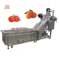 Groente-en Verwerking Apparatuur Pdf Granaatappel Reiniging Aloë Vera Papaya Wasmachine