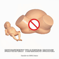 Modelo de Entrenamiento Anatómico Quirúrgico Científico para Obstetricia y Parto, Simulador de Trabajo de Parto para Enseñanza de Ciencias Médicas, Haryana, India