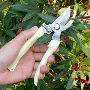 Tijeras de <span class=keywords><strong>Podar</strong></span> de Acero Inoxidable Resistentes, Herramienta de <span class=keywords><strong>Podar</strong></span> Ergonómica <span class=keywords><strong>para</strong></span> <span class=keywords><strong>Árboles</strong></span> Frutales y Ramas Gruesas - Product Image 1