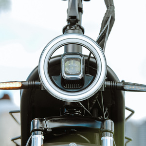 Vélo électrique léger et agile D+ Big Dudu à double moteur 48V avec frein à disque et cadre en acier pour chiens moyens et grands de moins de 44 kg - Product Image 4