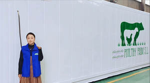 1000 kg pro Tag Automatisches Tierfutter-Sprossen-Container-Hydroponiksystem für Gerste mit Grünen Schalen - Product Image 2