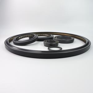 <span class=keywords><strong>Joint</strong></span> <span class=keywords><strong>de</strong></span> lèvre <span class=keywords><strong>de</strong></span> ressort <span class=keywords><strong>de</strong></span> <span class=keywords><strong>joint</strong></span> cryogénique <span class=keywords><strong>de</strong></span> grue <span class=keywords><strong>de</strong></span> <span class=keywords><strong>bras</strong></span> <span class=keywords><strong>de</strong></span> chargement marin - Product Image 6