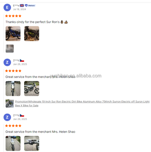 Bicicletta Elettrica da Carico CNEBIKE Certificata CE, E-<span class=keywords><strong>Lastenrad</strong></span> a 2 Ruote con Cassetta in Legno, Bici per Consegne Familiari per la Germania - Product Image 5