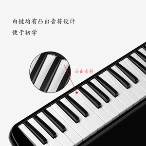 Melódica Feifan de 37 teclas, piano portátil con boquilla y estuche para principiantes - Product Image 3