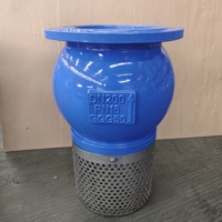 Válvula de pie de bomba de agua Válvula de retención de estructura manual práctica