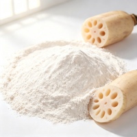 Poudre de racine de lotus naturelle directement de l'usine, sans additifs, matière première, poudre de racine de lotus 100% pure