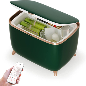 Новинка, холодильник для макияжа, 6 л, 9 л, DC12V, небольшой холодильник для ухода за кожей, косметический холодильник, мини-холодильник - Product Image 3