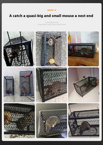Small Size Sensitive Trigger <b>Mouse</b> Rat Trap Cage Reusable Humane Rodent Catcher - Product Image 6