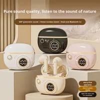 Écouteurs de beauté Nouveaux écouteurs sans fil Bluetooth Ultra-longue durée de vie de la batterie Modèle portable universel Semi-intra-auriculaire