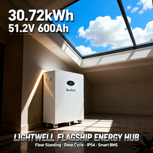 Batterie au lithium 51,2 V 48 V 600 Ah 30 kWh pour système solaire hybride sur pied avec roues - Product Image 6