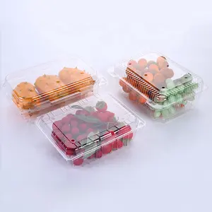 Take Away Food Container Making Machine Automatic Plastic Blister Vacuum Forming Molding Machine