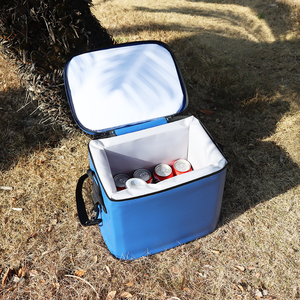 Trực tuyến cửa hàng của Hot Bán biểu tượng tùy chỉnh không thấm nước Nhiệt <span class=keywords><strong>Cooler</strong></span> Ba lô 12 lon công suất hiện đại 15L/30L/20L thực phẩm lưu trữ Ba lô - Product Image 2