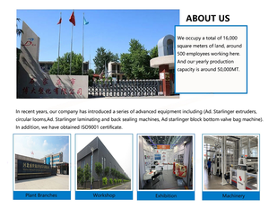 Polipropileno Ad Star Valve PP Sacos tejidos 25kg 40kg 50kg Bolsas de cemento <span class=keywords><strong>Mortero</strong></span> <span class=keywords><strong>seco</strong></span> Yeso Masilla Bolsas de embalaje - Product Image 5