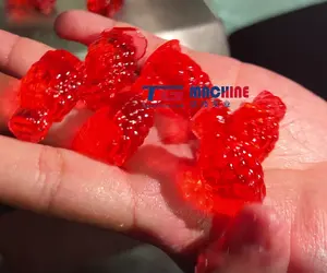 Soluciones de fabricación controladas con precisión Máquina eficiente y rentable para la fabricación de gomas Gummy Treat