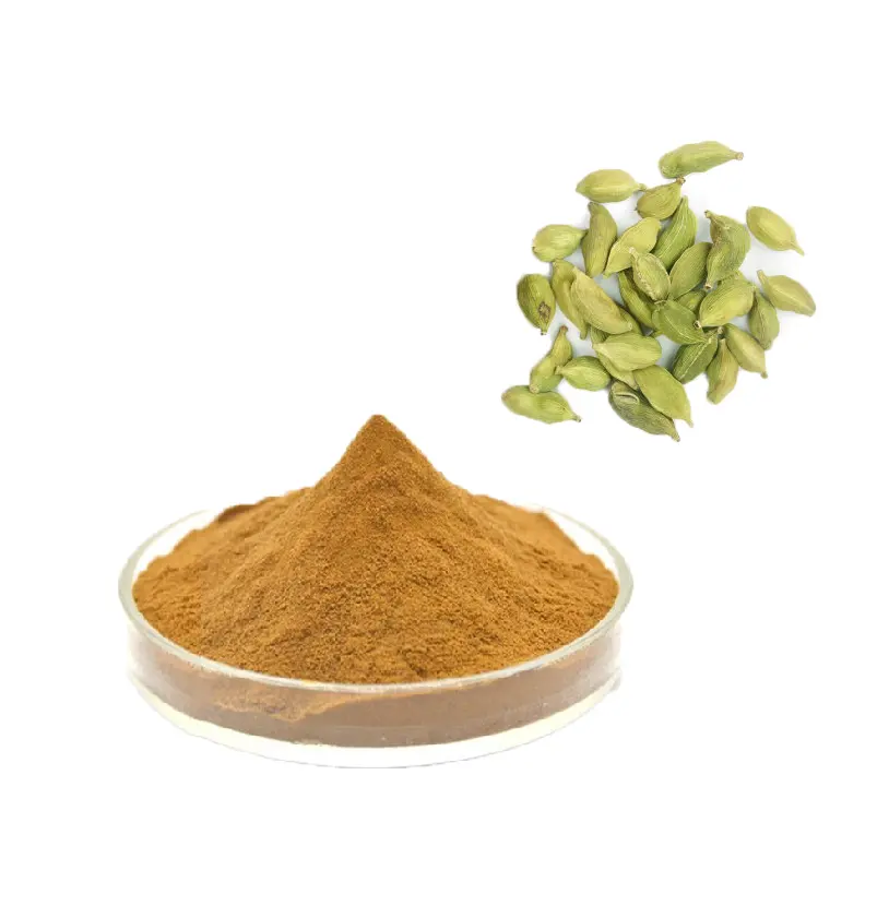 Poudre naturelle de graines de cardamome verte prix fournisseur en gros cardamome biologique