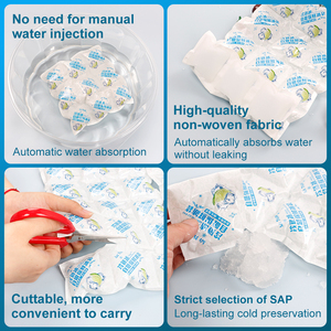 Tái Sử Dụng Cách Điện Lạnh Gel Làm Mát Túi Nước Tiêm Đóng Băng Khô Nước Đá Cho Thực Phẩm Tươi Mới Vận Chuyển Giao Hàng Giao Hàng Giao Hàng Giao Hàng - Product Image 5