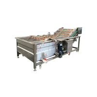 Hogesnelheids-bubbelreinigingsmachine voor het wassen van vers fruit en bessen