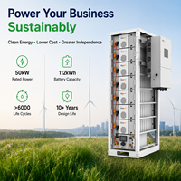Système de stockage d'énergie solaire hybride triphasé 50 kW tout-en-un avec batterie au lithium
