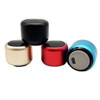 Mini Altavoz Inalámbrico Portátil Personalizado, Subwoofer con Carcasa de Aleación de Aluminio, Cine en Casa, Audio Bidireccional para Exteriores