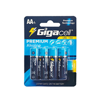 Piles alcalines de qualité supérieure 1,5 V, taille AA (Double A), à longue durée de vie, idéales pour les appareils photo, les dispositifs médicaux, les télécommandes et plus encore