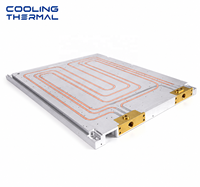 Plaque de refroidissement liquide sur mesure usinée CNC, de précision, pour refroidissement par eau