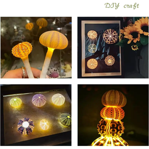 Set <span class=keywords><strong>di</strong></span> stelle marine e ricci <span class=keywords><strong>di</strong></span> <span class=keywords><strong>mare</strong></span>, 12 pezzi gusci <span class=keywords><strong>di</strong></span> ricci <span class=keywords><strong>di</strong></span> <span class=keywords><strong>mare</strong></span> da 1.3 1.9 pollici per piante aeree - Product Image 3