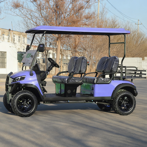 Voiturette de golf électrique miniature de haute qualité, sièges réglables, couleur violette, 4 places, voiturettes électriques de tourisme pour navette de station balnéaire - Product Image 4