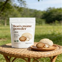 OEM Natuurlijk Veganistisch Leeuwenmanenpaddenstoelpoeder Volledige Vruchtlichaam Mycelium Bron Enzym Geheugen Anti-Vermoeidheid Energie Immuun