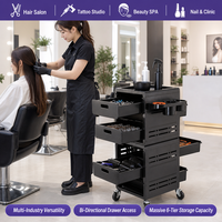 Chariot de Salon à 6 Tiroirs, Station de Rangement Modulaire Roulante, Support pour Sèche-Cheveux, pour Salon de Coiffure, Institut de Beauté, Spa, Studio, OEM