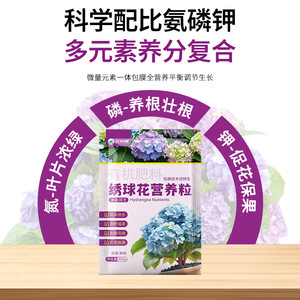Fertilizante Orgánico en Gránulos de Liberación Lenta para <span class=keywords><strong>Hortensias</strong></span>, Especialmente Formulado para Estimular Flores Vibrantes en Plantas de Interior - Product Image 2