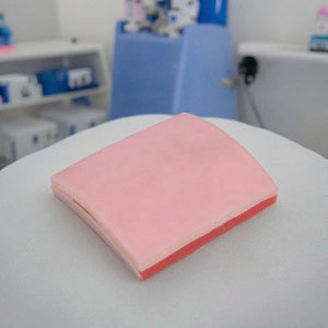 Modèle anatomique Corps humain Mannequin avancé PVC Matériau écologique pour suture musculaire de la peau Exercice d'entraînement Vic Science - Product Image 3