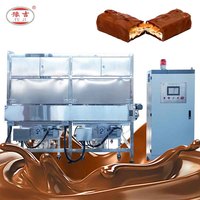 Machine automatique d'enrobage de chocolat à ceinture/enrobeur de noix Machine d'enrobage de chocolat Machine à snack