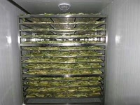Four de séchage intégré, déshydrateur alimentaire, moteur électrique, traitement des aliments, sécheur multifonctionnel pour raisins, poissons, légumes, fruits, 220V