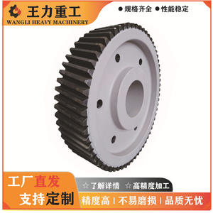 Fabricante Profesional de Cajas de Engranajes de Módulo Grande para Acero, Azúcar, Carbón y Maquinaria Minera - Product Image 3