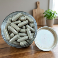 Capsules de poudre de racine de ginseng sauvage les plus populaires – Extrait végétal premium, complément naturel pour le bien-être, énergie et vitalité quotidiennes