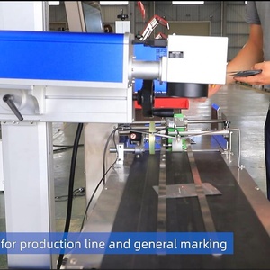 Raycus 50 Wát dây chuyền sản xuất băng tải bay sợi Laser đánh dấu máy cho ống dây PVC túi chai nhựa - Product Image 5