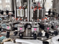 Contrôle PLC chaud verser bouteille en plastique PET jus de grenade pot de remplissage embouteillage fabricants de machines d'emballage ligne de production