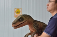 Marionnette de dinosaure Velociraptor bébé animatronique réaliste en métal, contrôlée à la main, personnalisable pour centres commerciaux et garderies